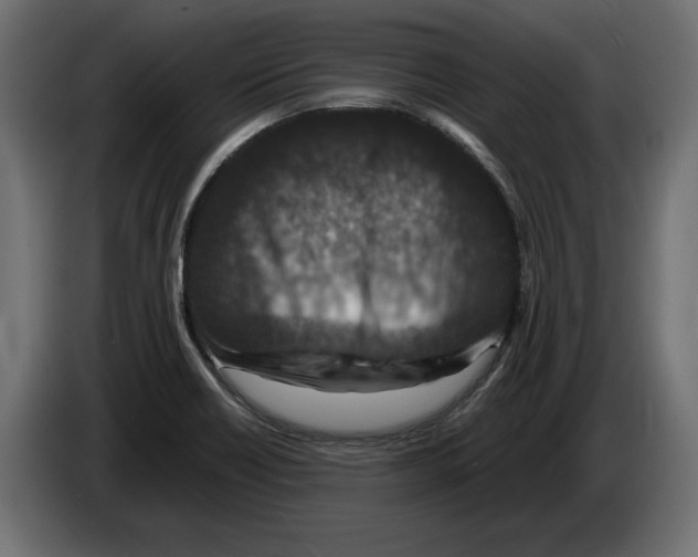 X0000082931418200703020055