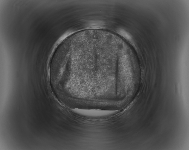 X0000082931419200703020055
