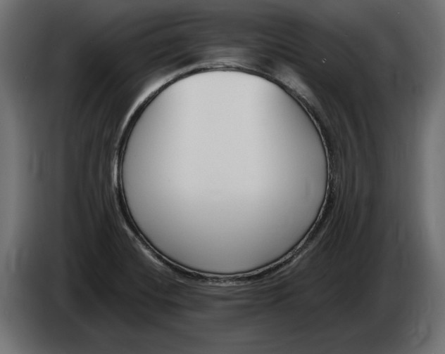 X0000082931420200703020055