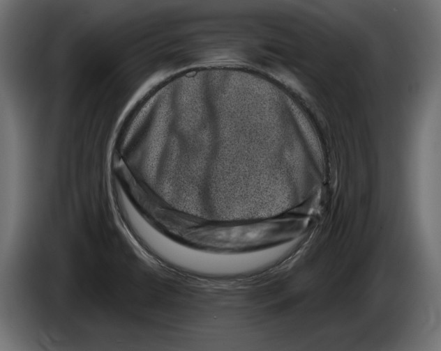 X0000082931422200703020055