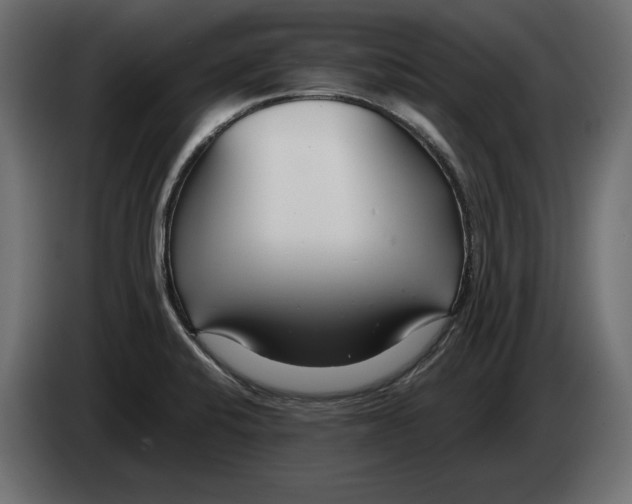 X0000082931424200703020055
