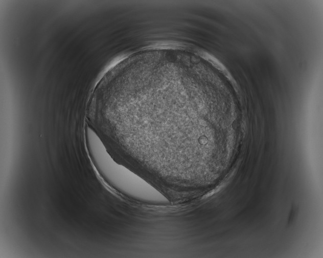 X0000082931425200703020055