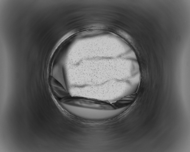 X0000082931426200703020055