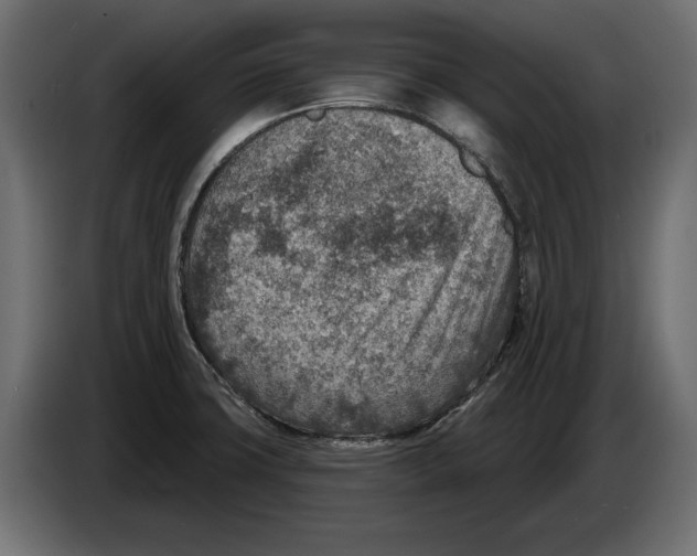 X0000082931427200703020055