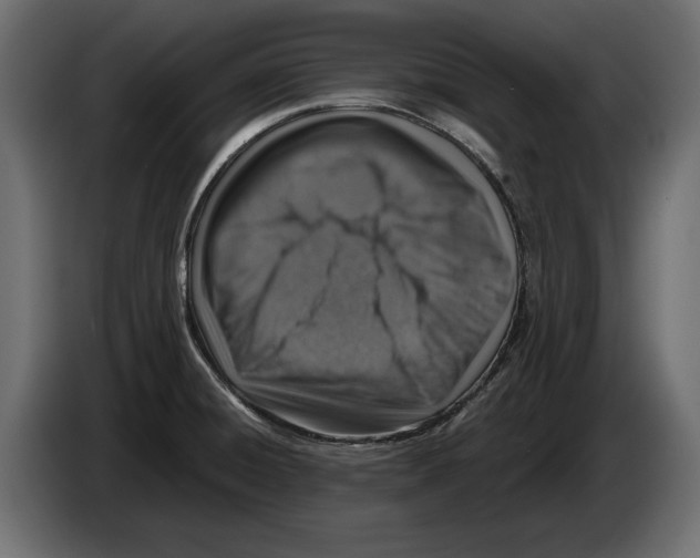 X0000082931428200703020055