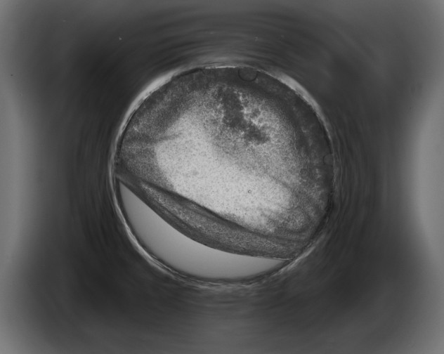 X0000082931429200703020056