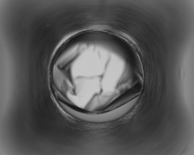X0000082931430200703020056