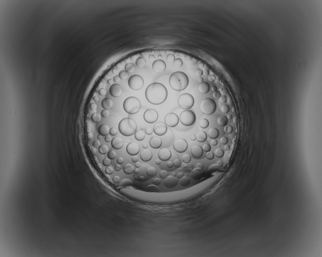 X0000082931432200703020056