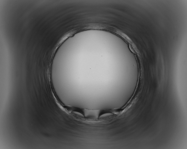 X0000082931433200703020056