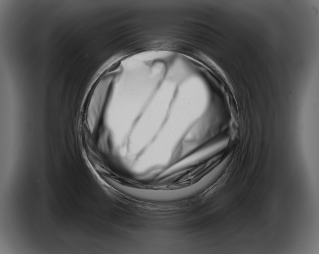 X0000082931434200703020056