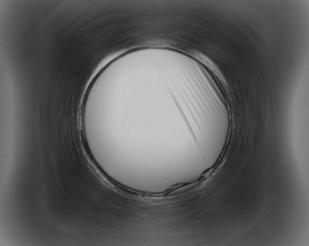 X0000082931436200703020056