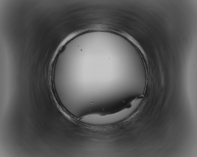 X0000082931437200703020056