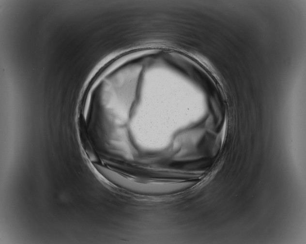 X0000082931438200703020056