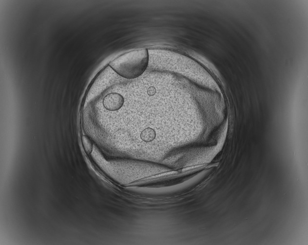 X0000082931439200703020056