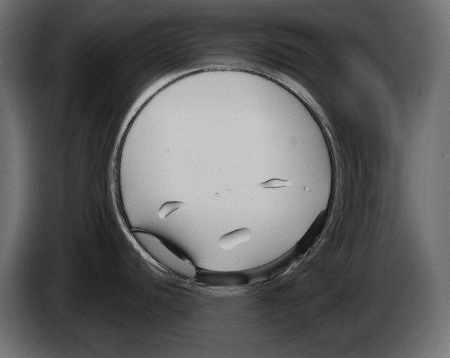 X0000082931440200703020056