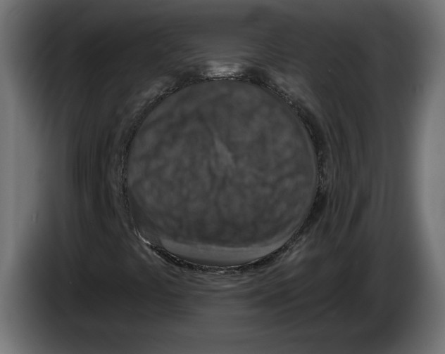 X0000082931441200703020055