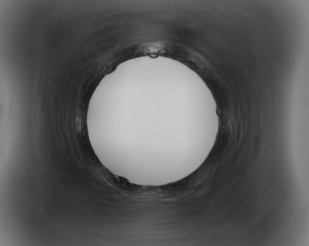 X0000082931442200703020055