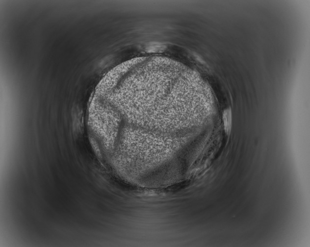 X0000082931443200703020055