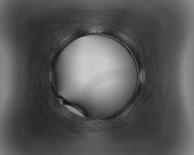 X0000082931444200703020055