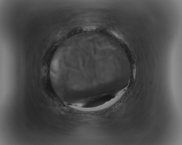 X0000082931445200703020055