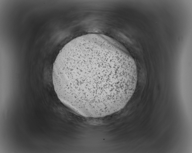 X0000082931446200703020055
