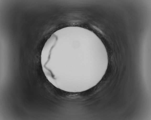 X0000082931447200703020055