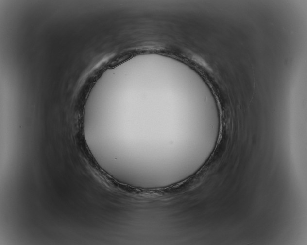 X0000082931448200703020055