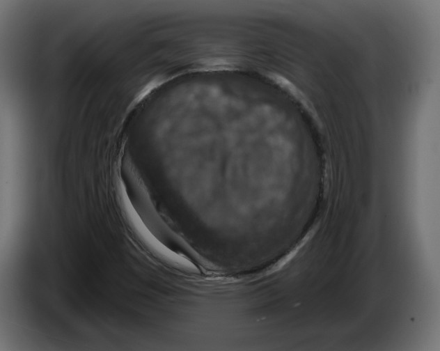 X0000082931449200703020055