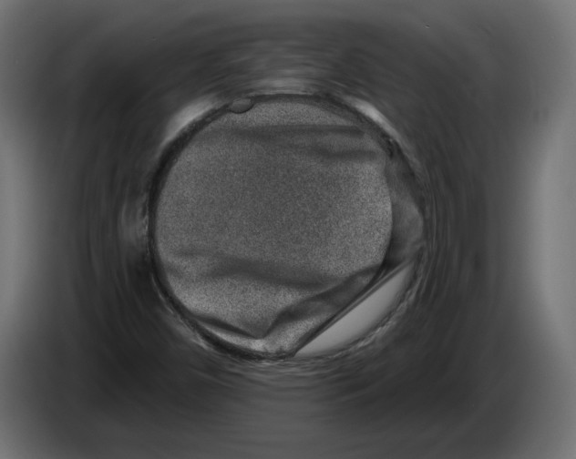X0000082931450200703020055