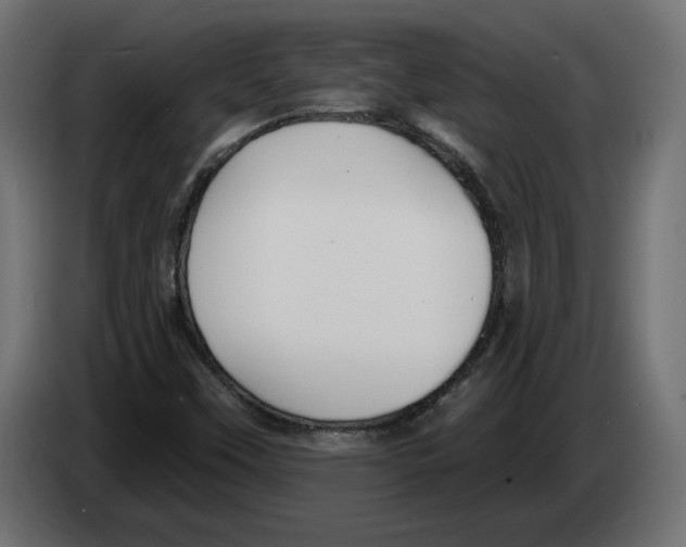 X0000082931451200703020055