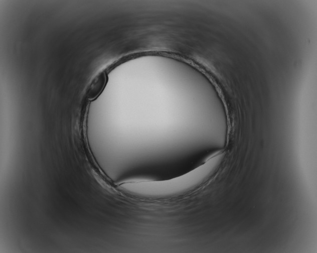 X0000082931452200703020055