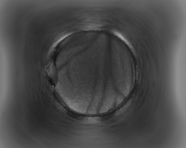 X0000082931453200703020055