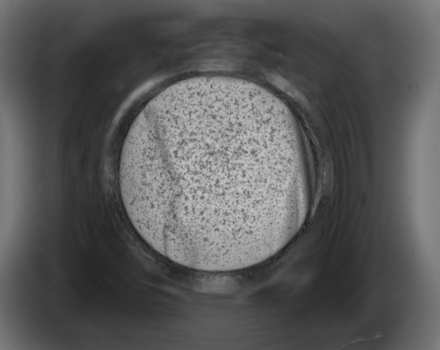 X0000082931454200703020055