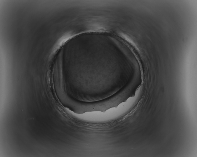 X0000082931455200703020055