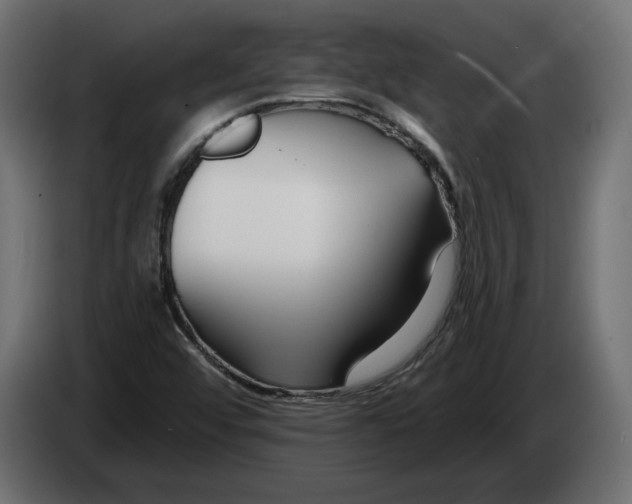 X0000082931456200703020055