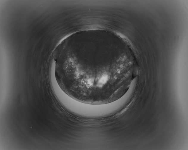 X0000082931457200703020055