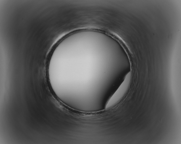 X0000082931460200703020055