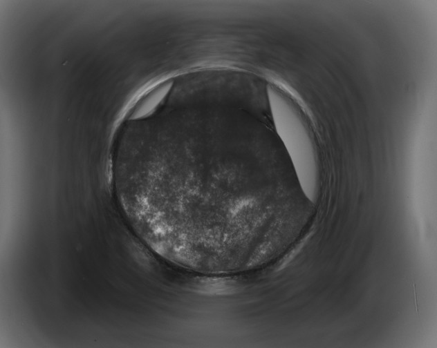 X0000082931461200703020055