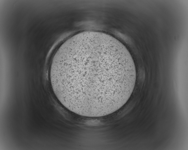X0000082931462200703020055