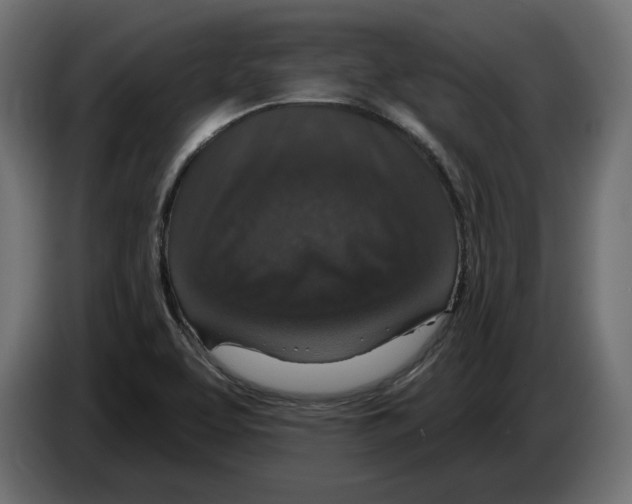 X0000082931463200703020054