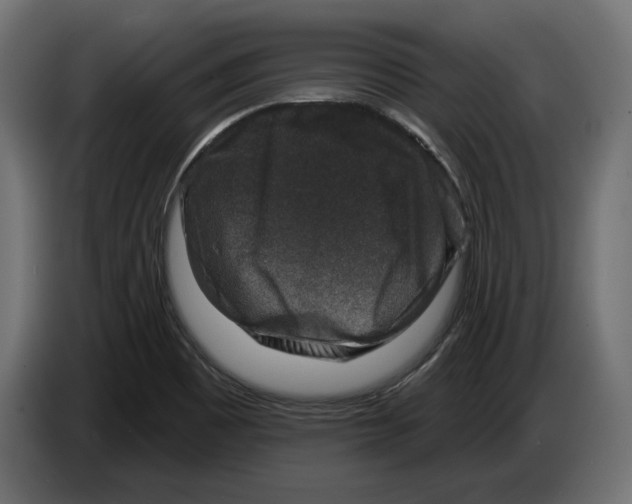X0000082931465200703020054
