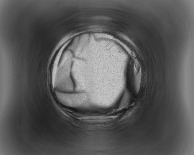 X0000082931467200703020054