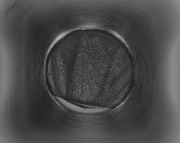 X0000082931469200703020054