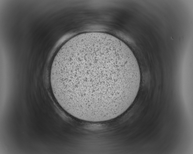 X0000082931470200703020054