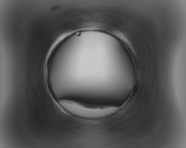 X0000082931472200703020054