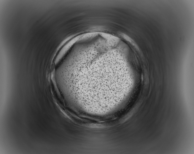 X0000082931473200703020054