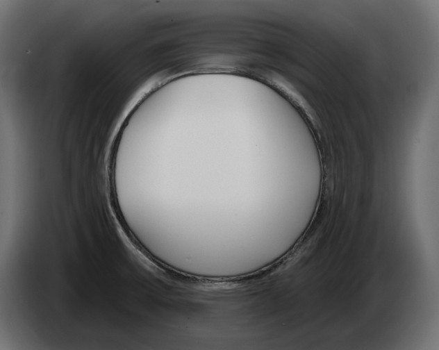 X0000082931475200703020054