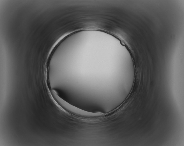 X0000082931476200703020054