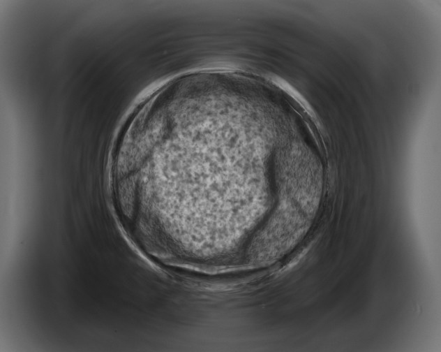 X0000082931477200703020054