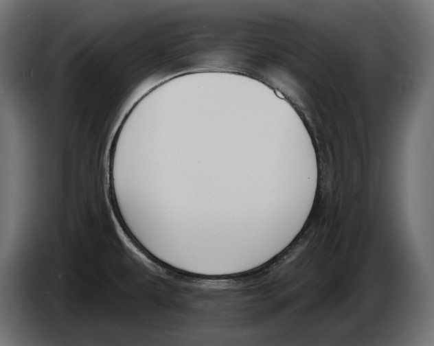X0000082931479200703020054